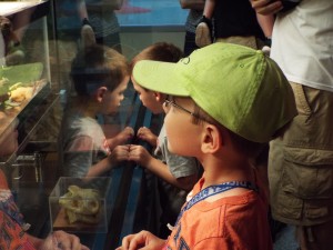 He bravely pushed the intercom button to ask questions of the ranger behind the glass.  His first question: "What do turtles eat?"  His second question: "What do snakes eat?"  His third question . . . . well, he had a bit of a theme going, let's say that.