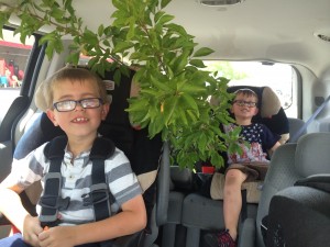 Boys plus plum tree, on our way home from the garden center.  No pix of the finished product, sadly.