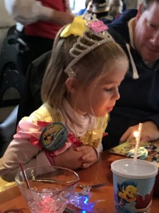 Birthday girl blows out a candle