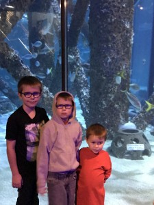 Aquarium trip when dad's out of town.  Liam is clearly upset with me about something.
